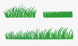 小草漫画图片,描绘生活点滴，传递温馨情感